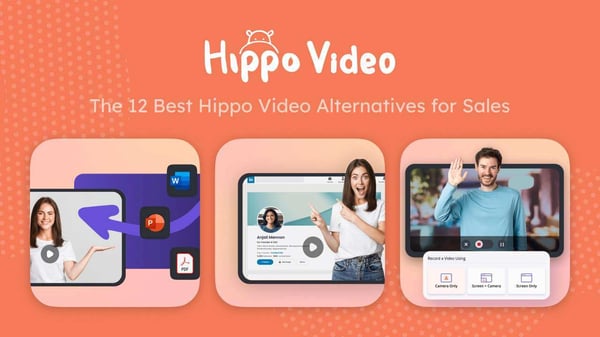 hippo video alternatives